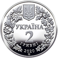 Совка розкішна