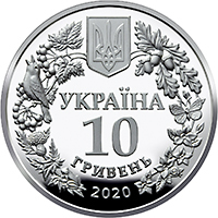 Совка розкішна