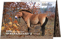 Чорнобиль. Відродження. Кінь Пржевальського у сувенірній упаковці
