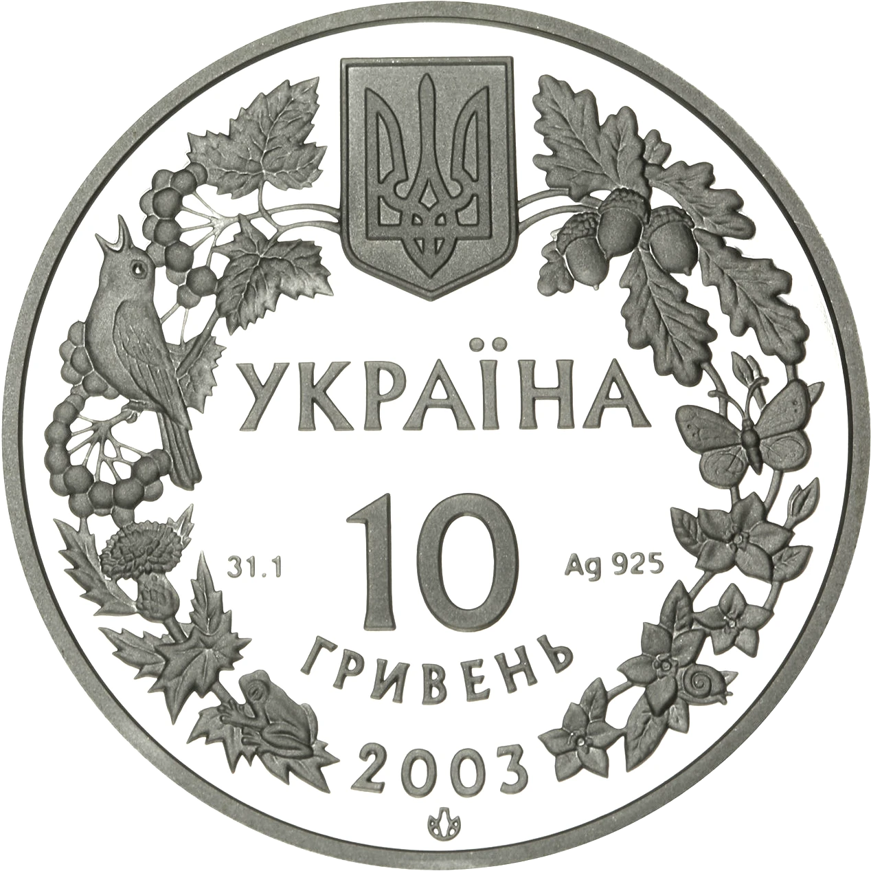 Зубр