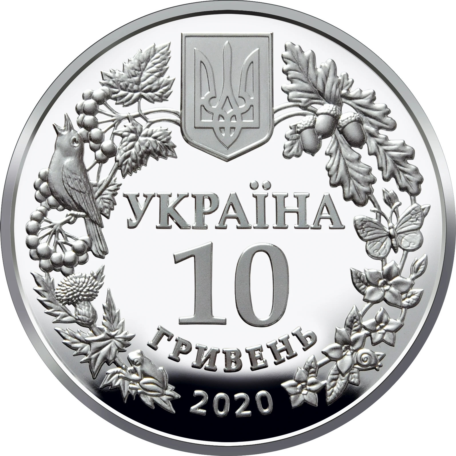 Совка розкішна