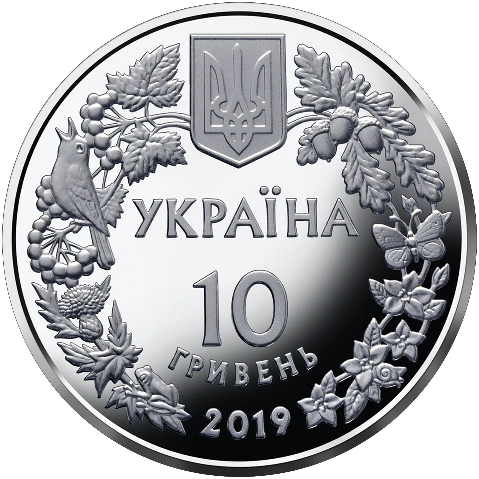 Орлан-білохвіст