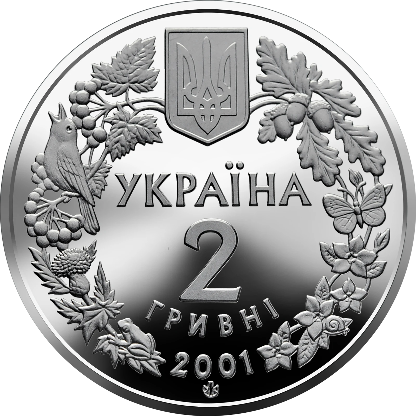 Модрина польська