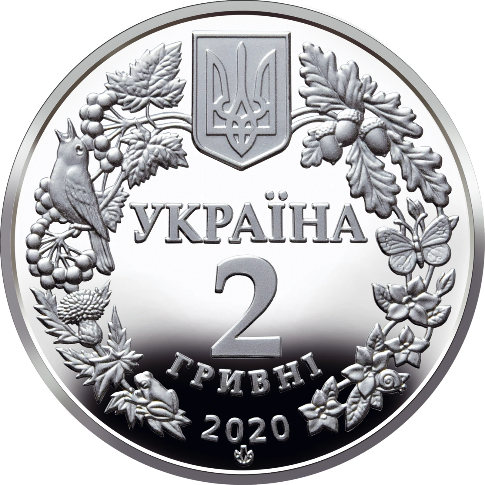 Совка розкішна